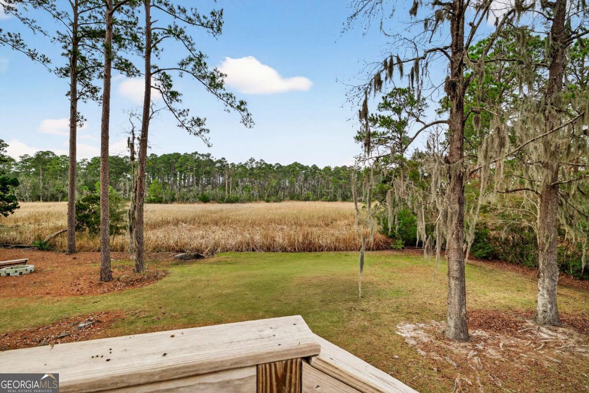 314 Mill Run Road Richmond Hill GA 31324