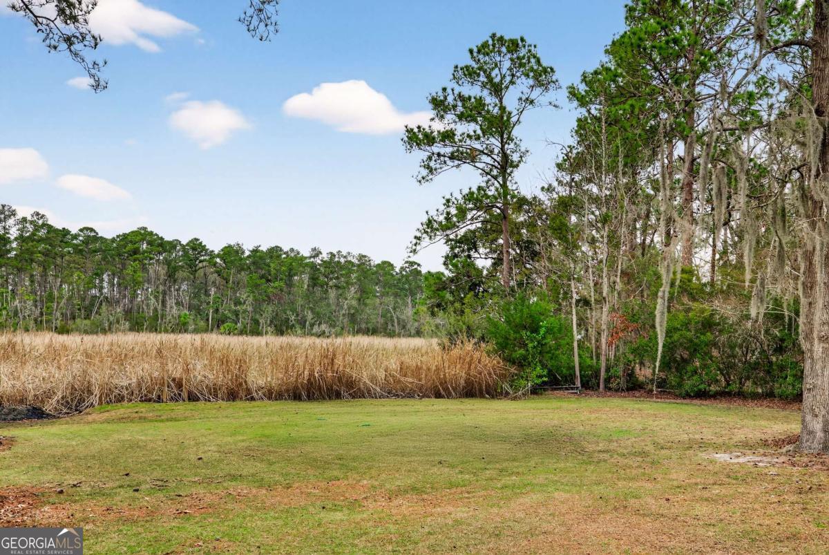 314 Mill Run Road Richmond Hill GA 31324