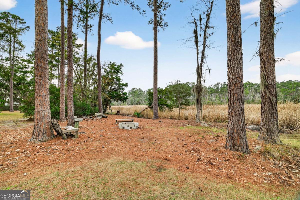 314 Mill Run Road Richmond Hill GA 31324