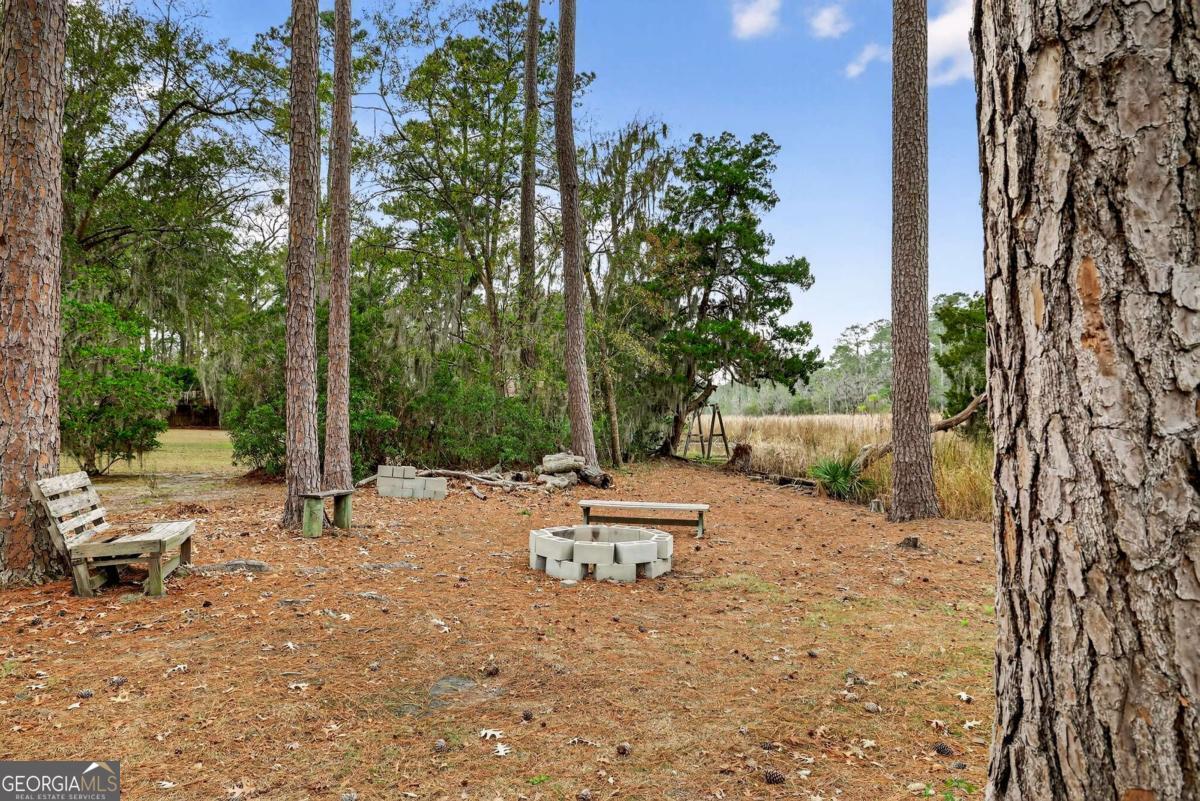 314 Mill Run Road Richmond Hill GA 31324