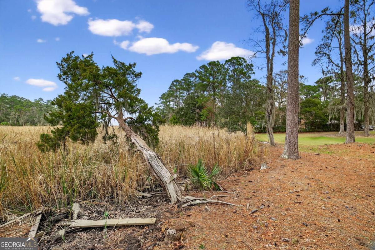 314 Mill Run Road Richmond Hill GA 31324