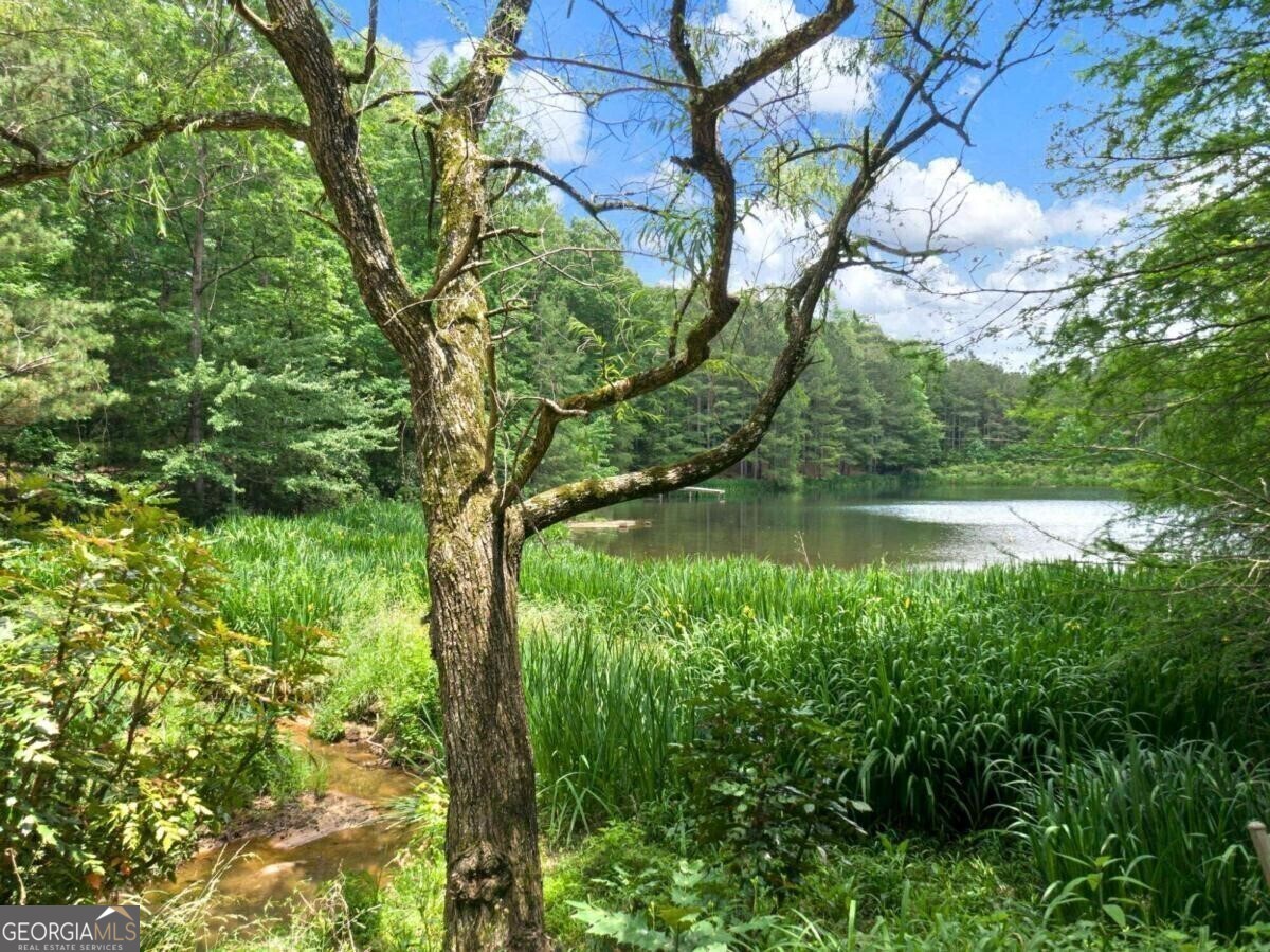 1402 Henderson Mountain Road Jasper GA 30143