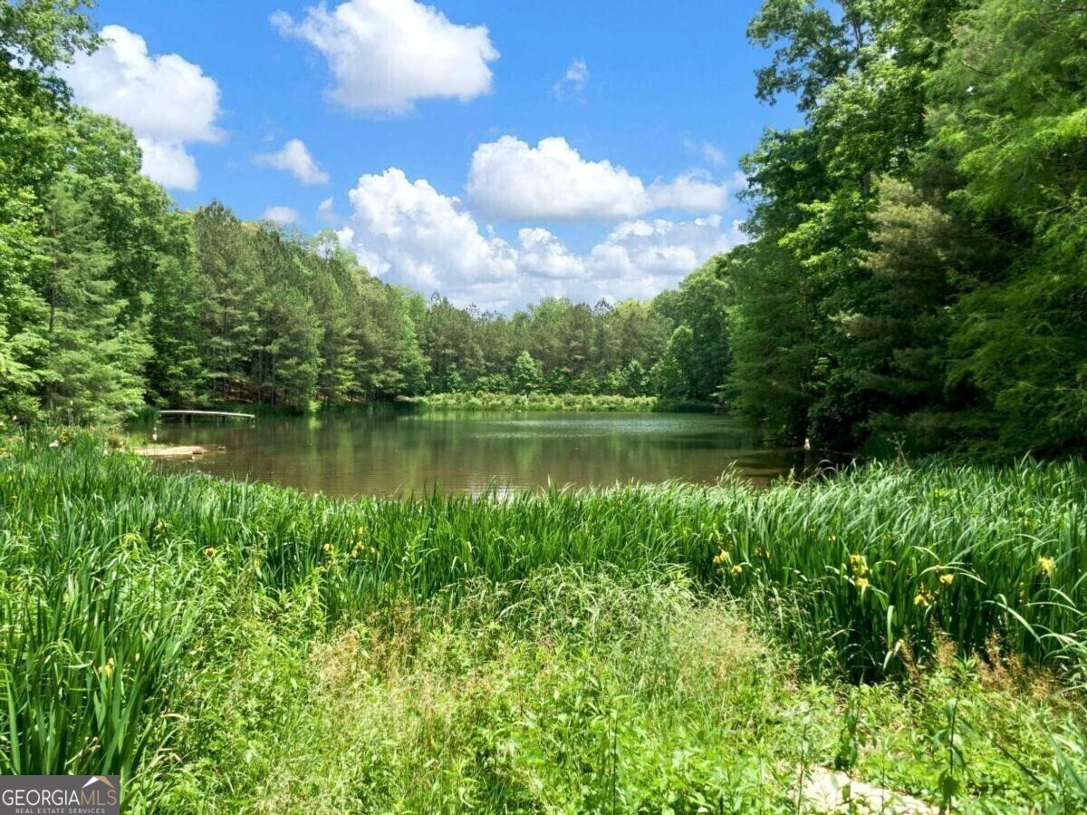 1402 Henderson Mountain Road Jasper GA 30143