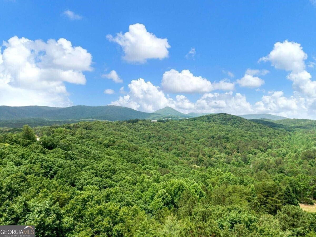 1402 Henderson Mountain Road Jasper GA 30143