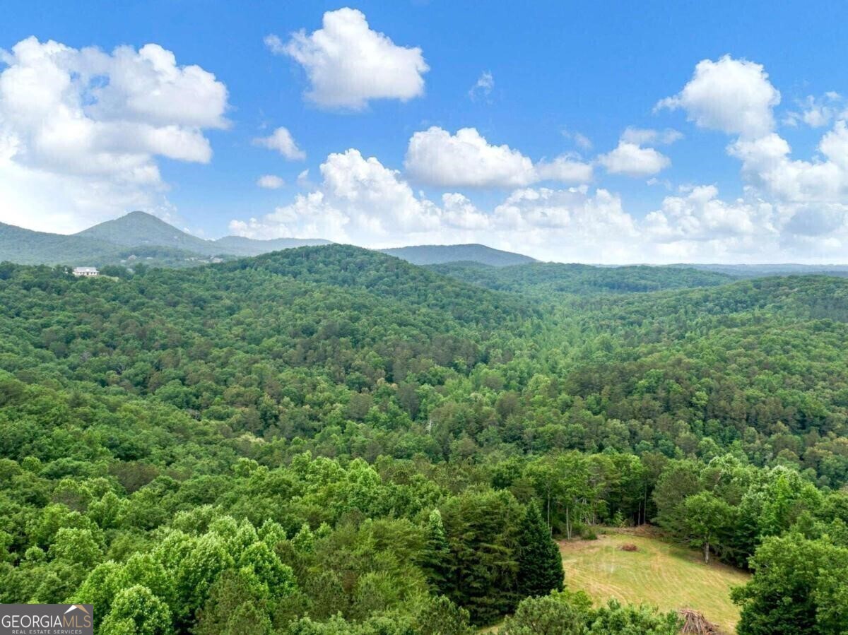 1402 Henderson Mountain Road Jasper GA 30143