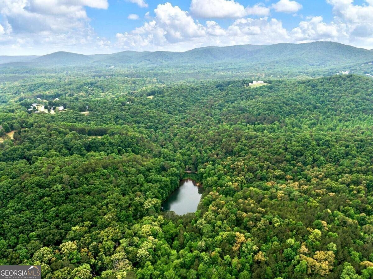 1402 Henderson Mountain Road Jasper GA 30143