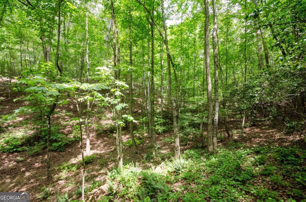 1402 Henderson Mountain Road Jasper GA 30143
