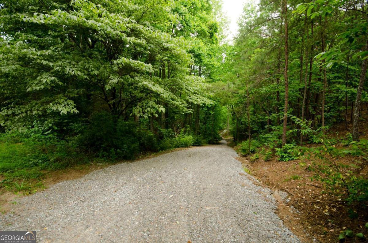 1402 Henderson Mountain Road Jasper GA 30143
