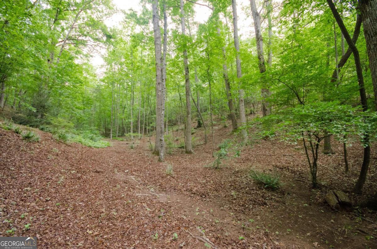 1402 Henderson Mountain Road Jasper GA 30143