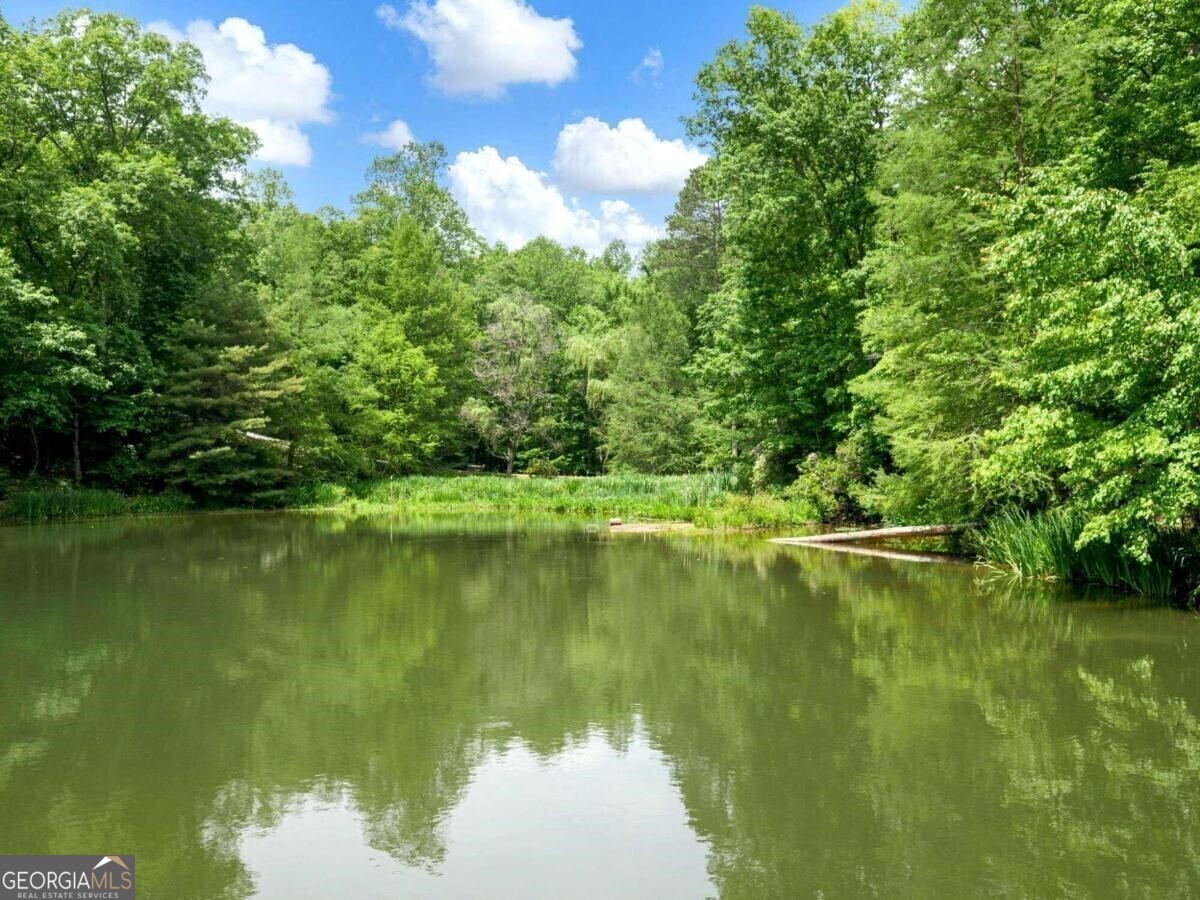1402 Henderson Mountain Road Jasper GA 30143