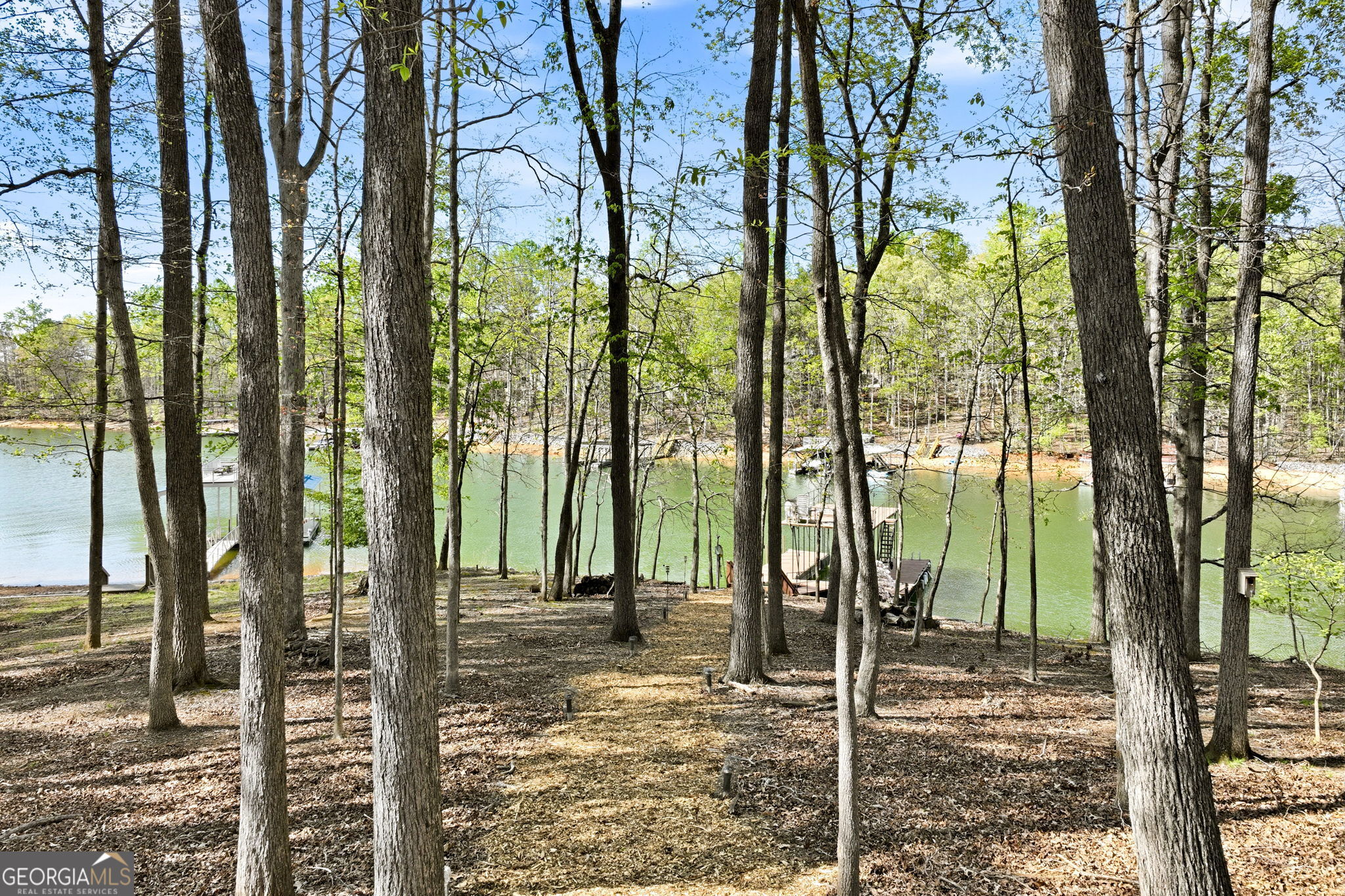 3176 Deepwater Drive Gainesville GA 30506