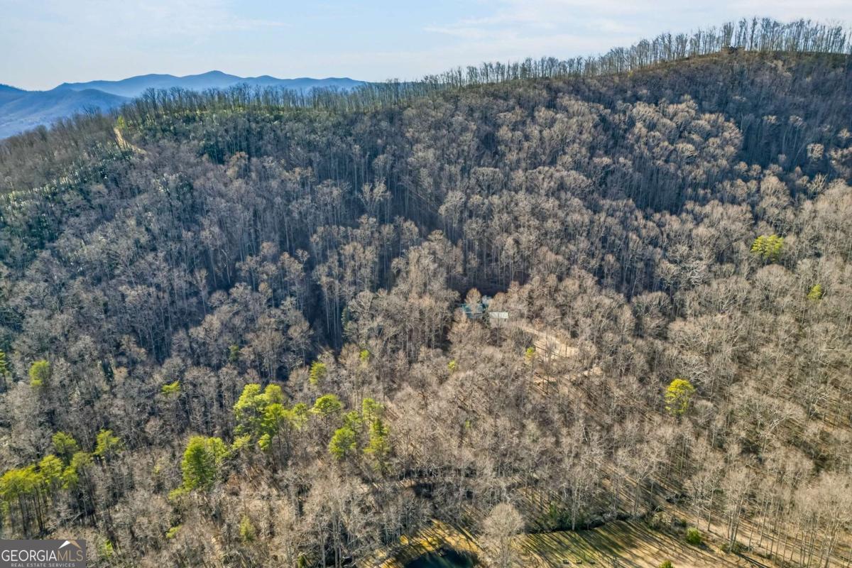 317 Collins Creek Road Hiawassee GA 30546
