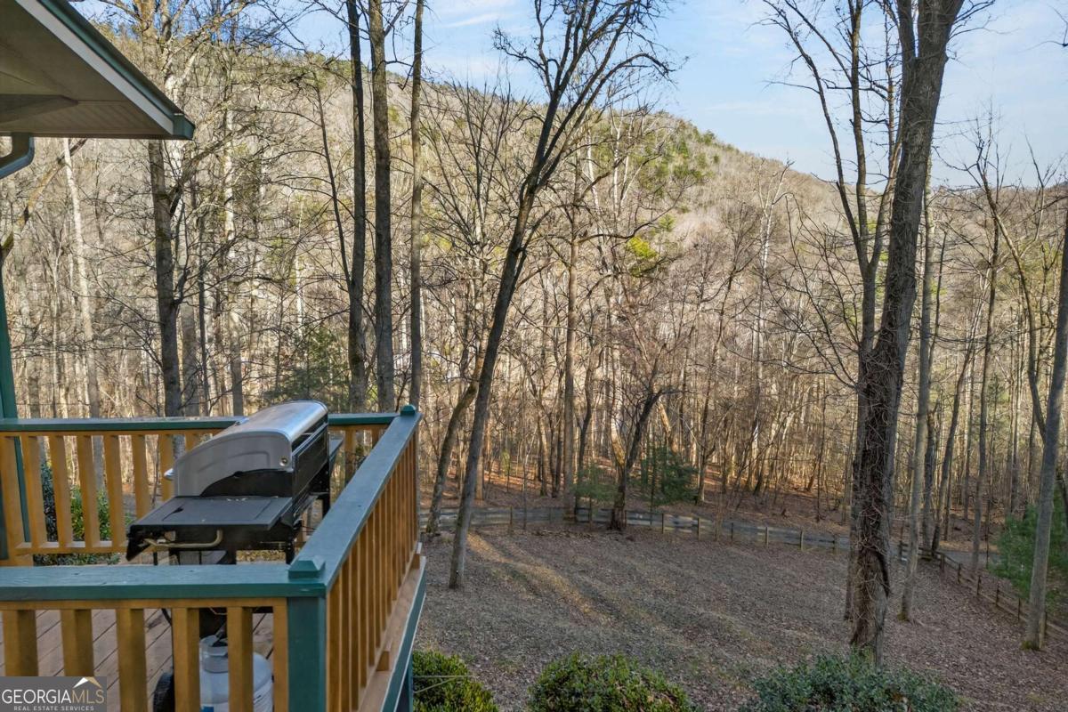 317 Collins Creek Road Hiawassee GA 30546
