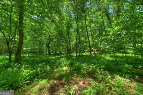 6385 Highway 2 Epworth GA 30541