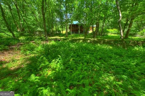 6385 Highway 2 Epworth GA 30541