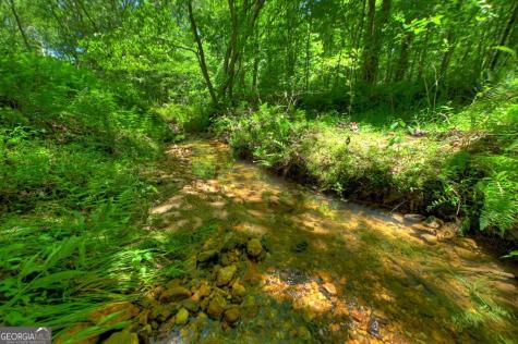 6385 Highway 2 Epworth GA 30541