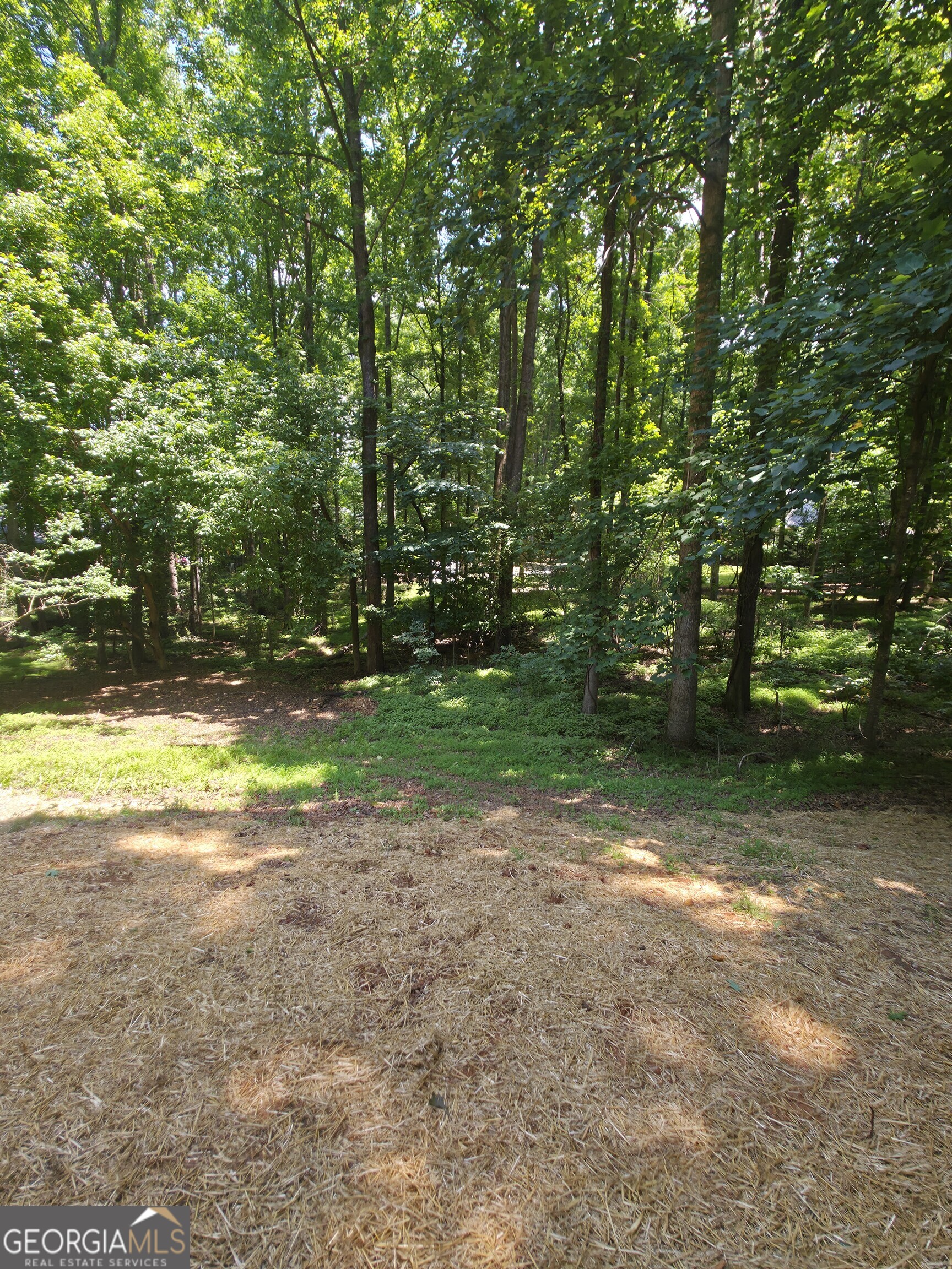 210 New Haven Drive Athens GA 30606
