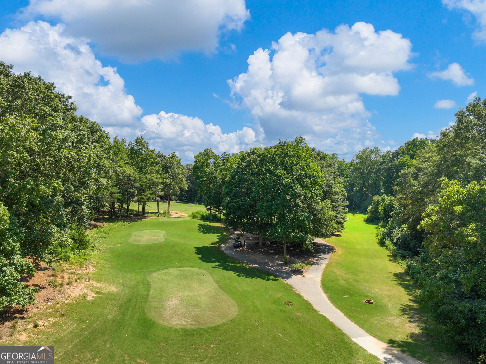 5921 Yoshino Cherry Lane Braselton GA 30517