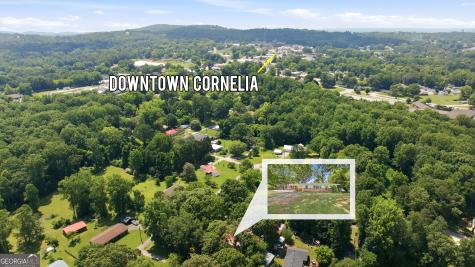 151 Tiny Ridge Drive Cornelia GA 30531