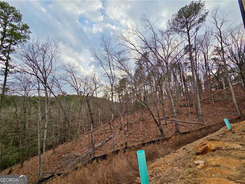 100 Waterview Court Waleska GA 30183