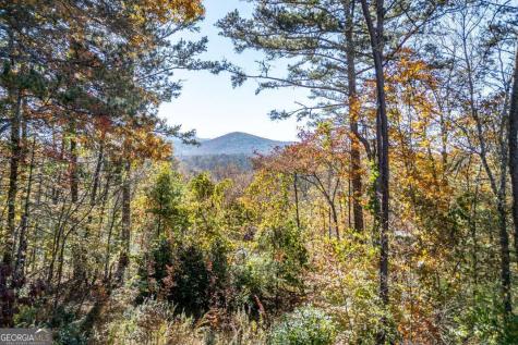 2561 Rustic Ridge Trail Young Harris GA 30582