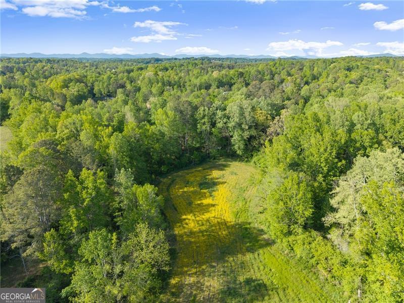 5760 Kanady Road Murrayville GA 30564