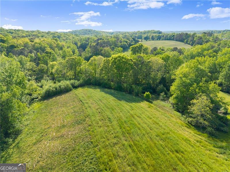 5760 Kanady Road Murrayville GA 30564