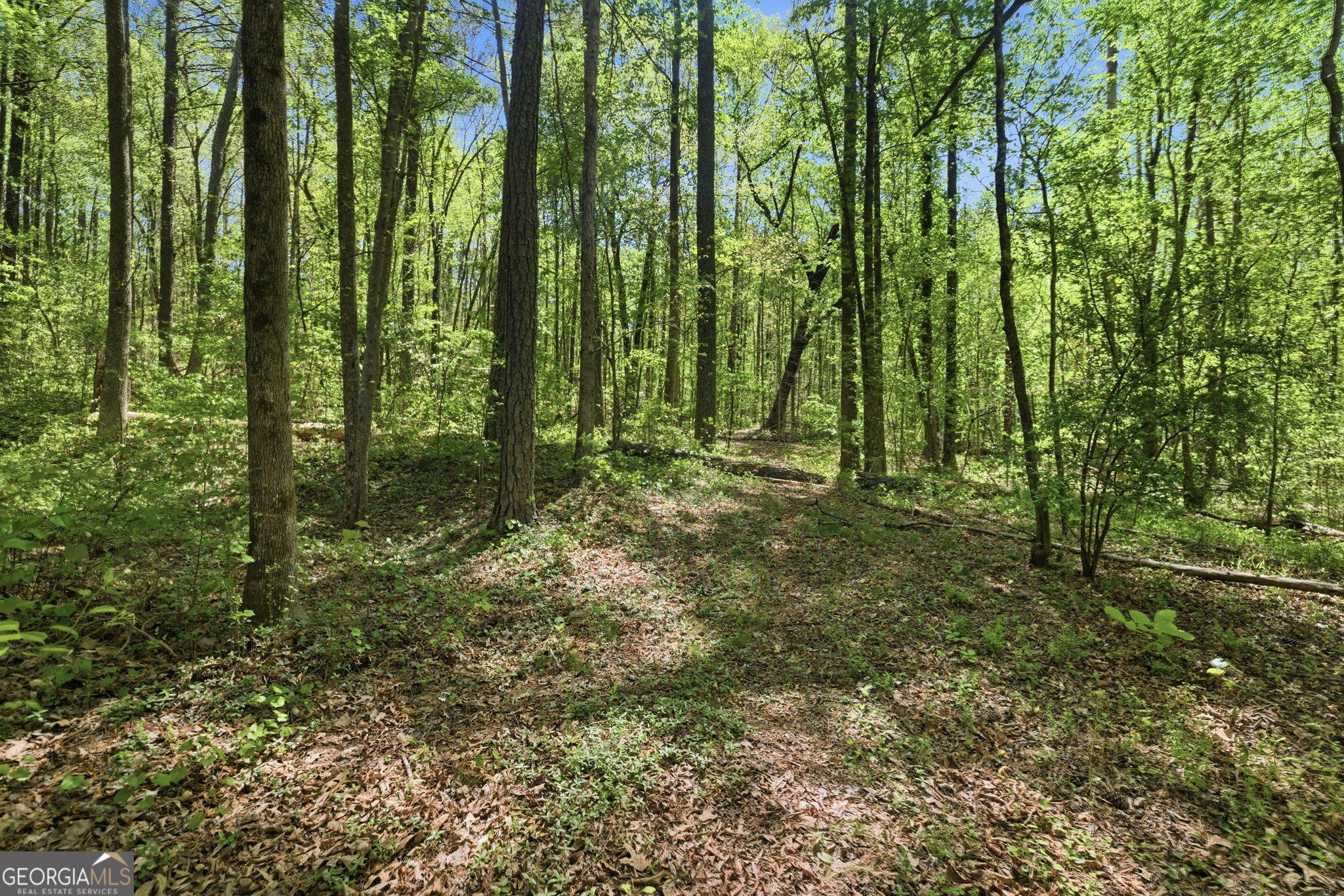 5430 Bethlehem Road Fairburn GA 30213