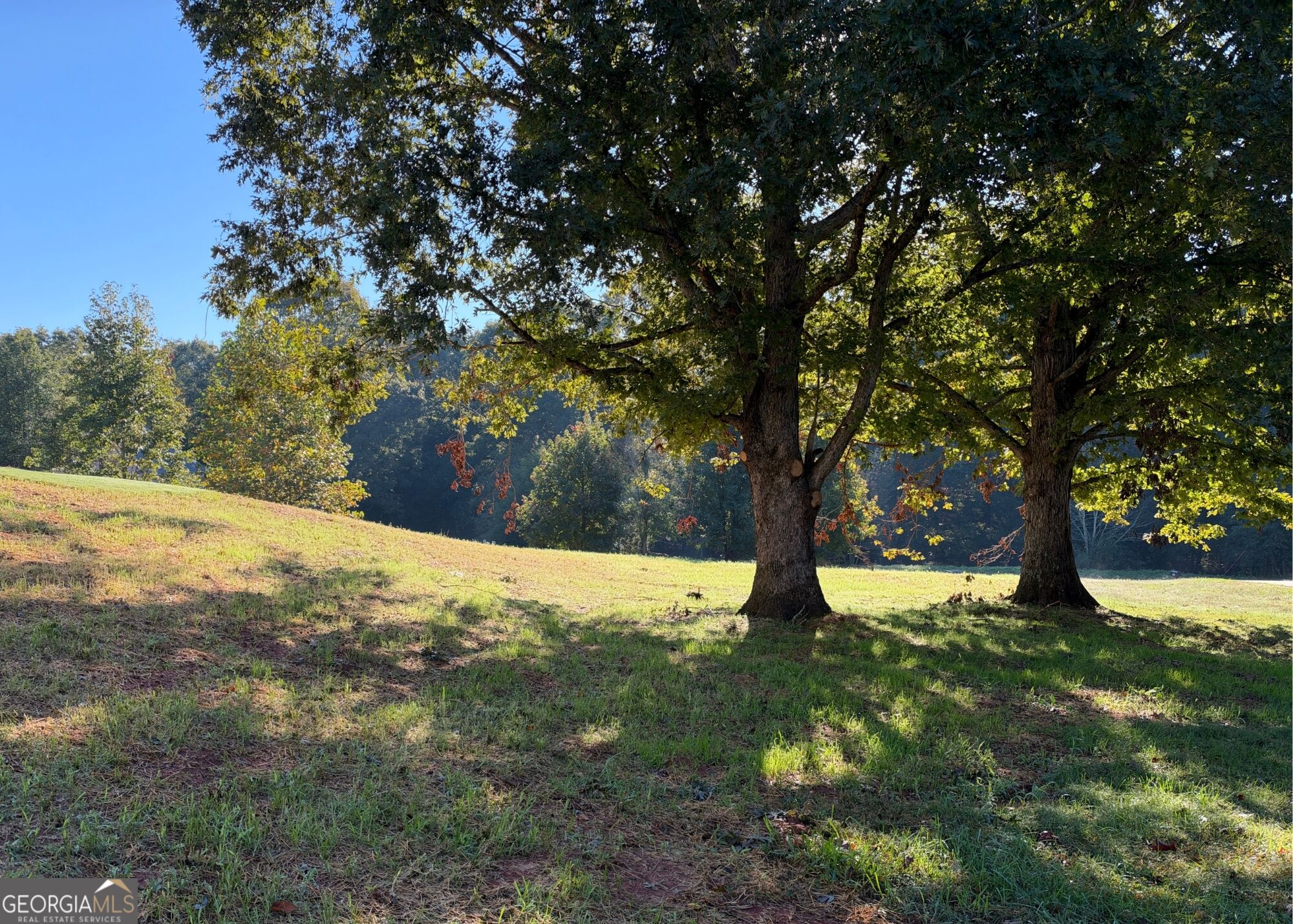373 Stonington Drive Mount Airy GA 30563