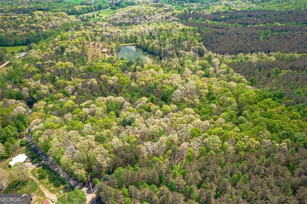 2308 Rackley Road Ellijay GA 30536