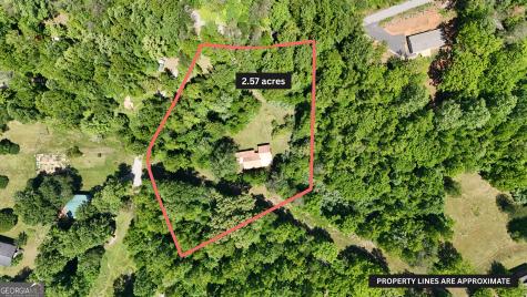 3 Derby Lane Cleveland GA 30528