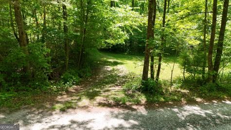 3 Derby Lane Cleveland GA 30528