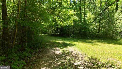 3 Derby Lane Cleveland GA 30528