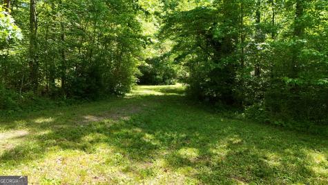 3 Derby Lane Cleveland GA 30528