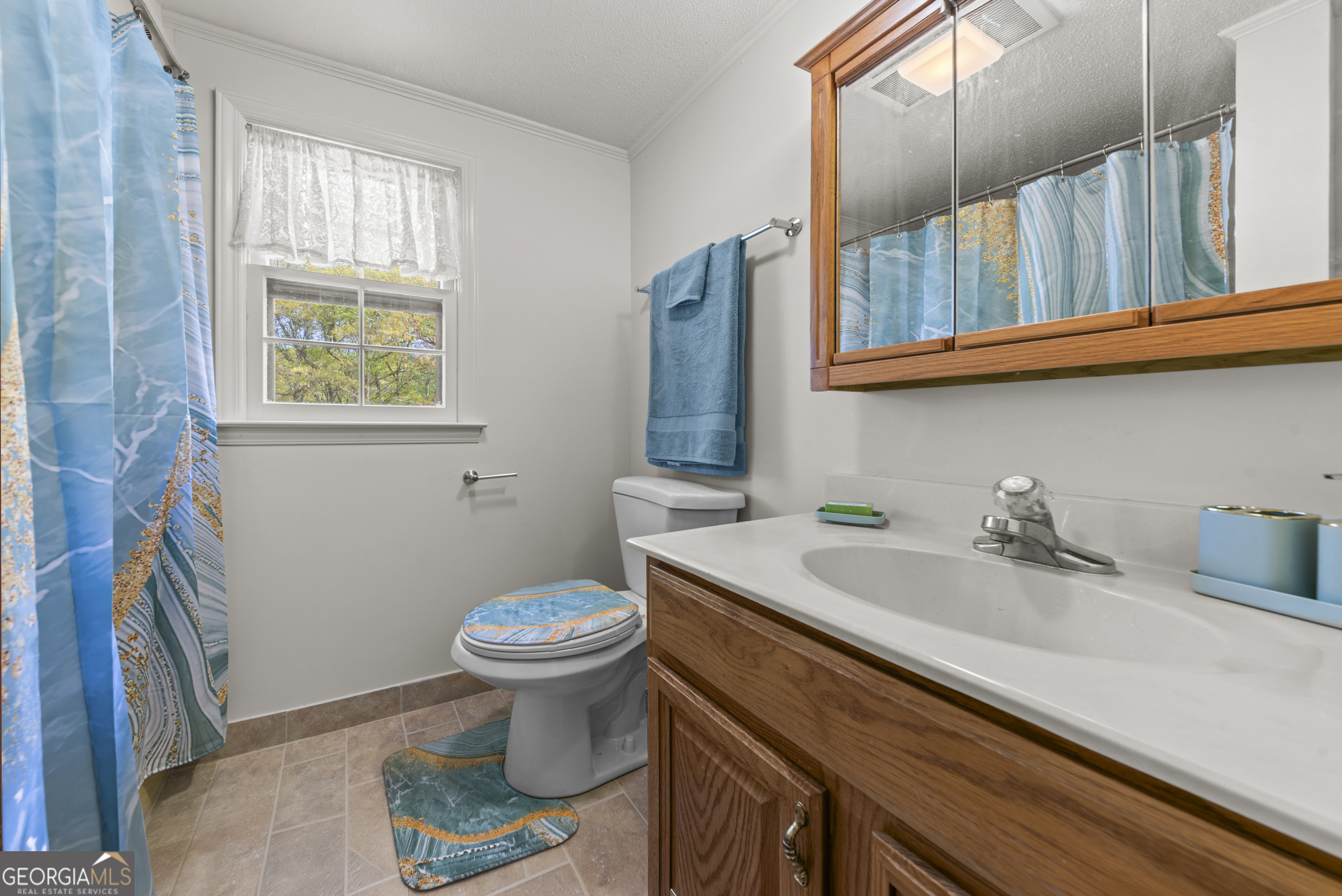 1641 Flat Rock Road Watkinsville GA 30677