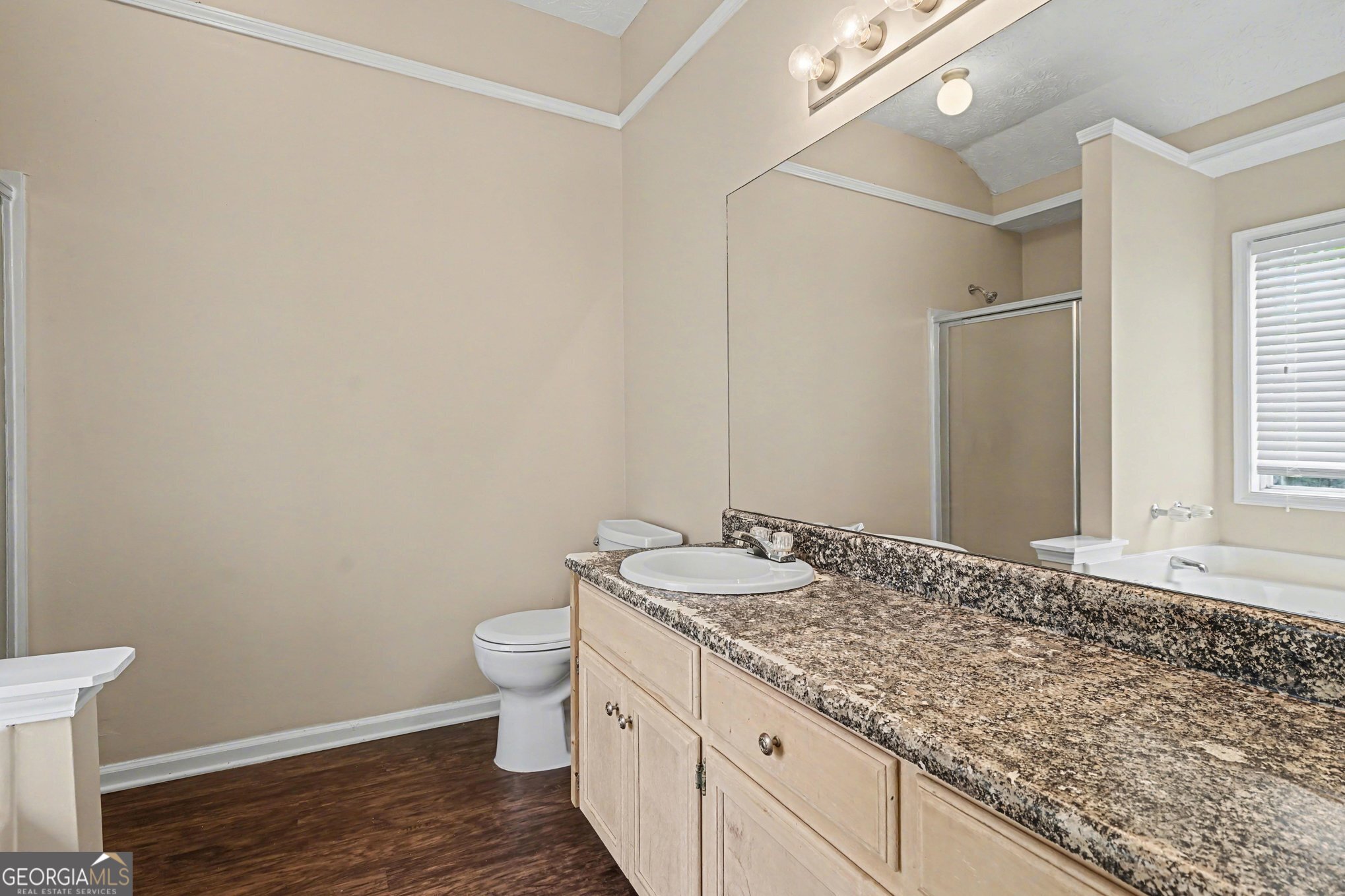 4615 Wheeler Creek Drive Hoschton GA 30548