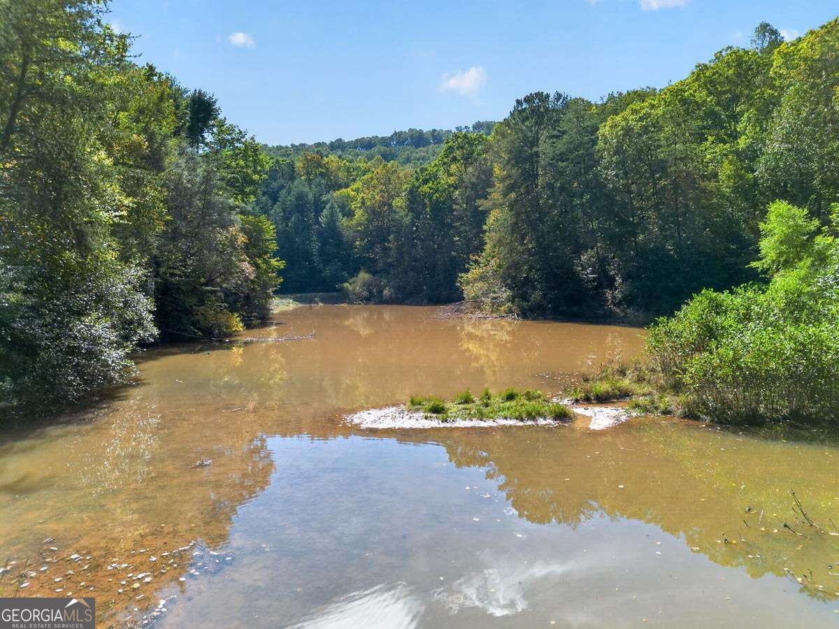 1970 Big Ben Road Ellijay GA 30540