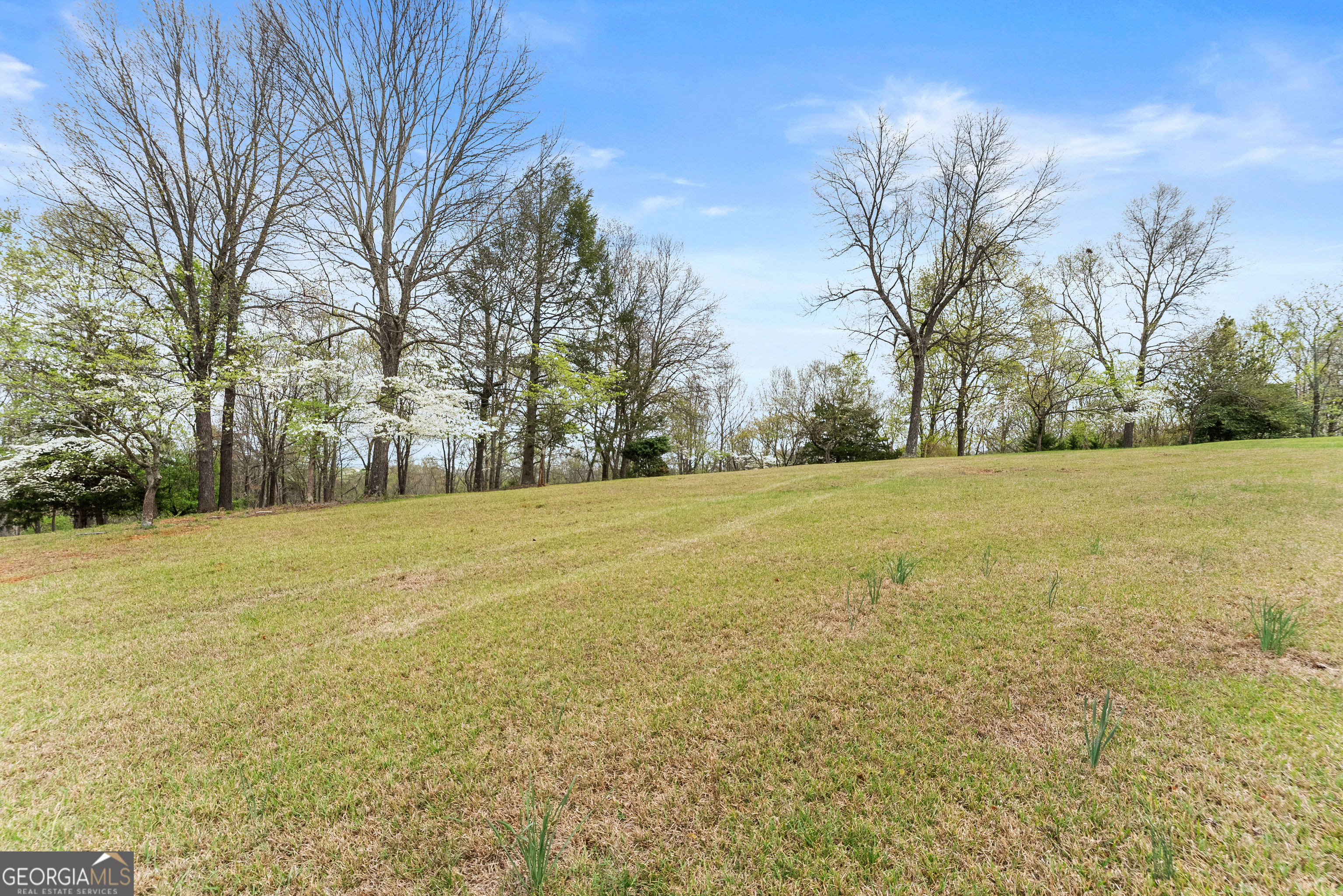 664 Chenocetah Drive Cornelia GA 30531