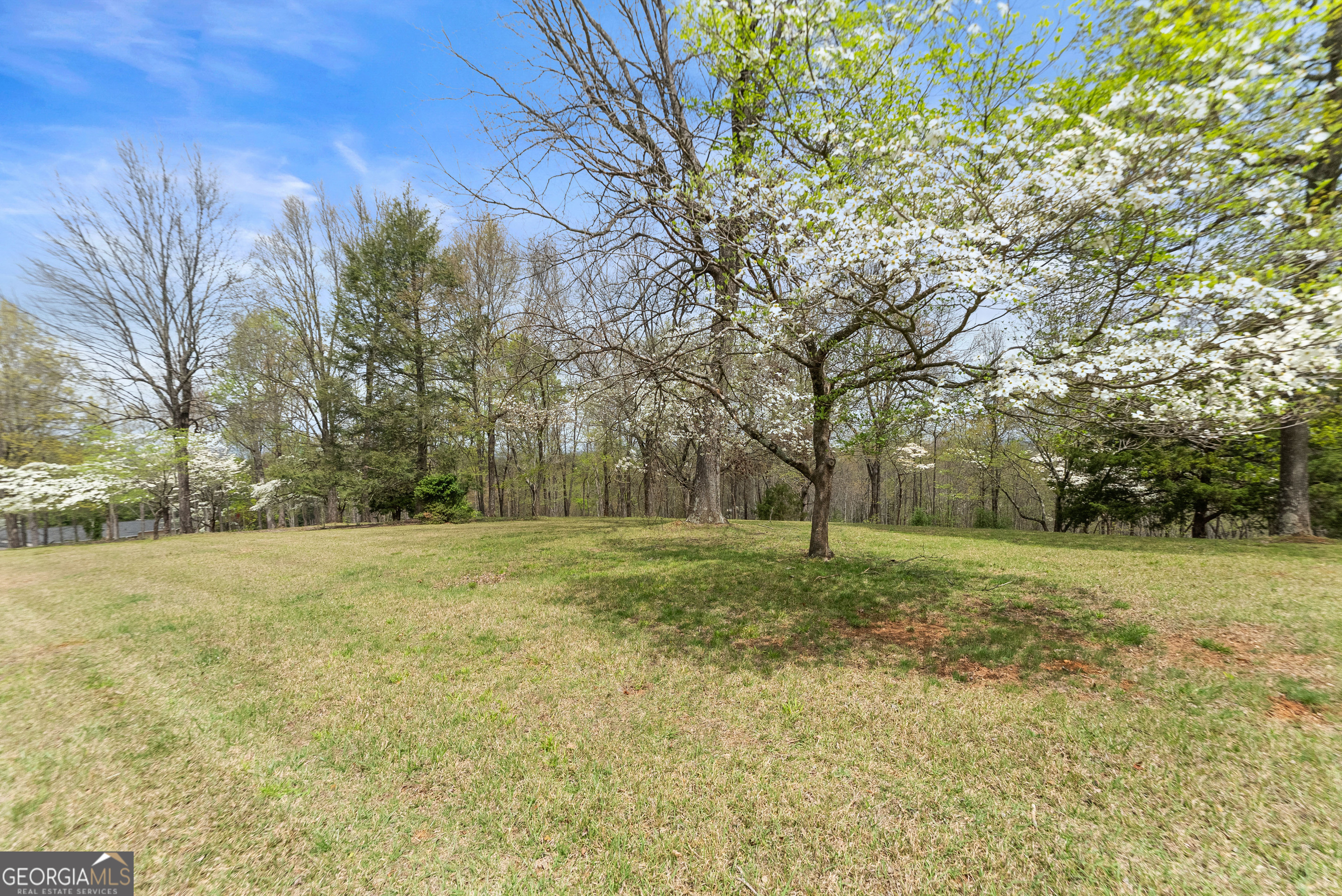 664 Chenocetah Drive Cornelia GA 30531