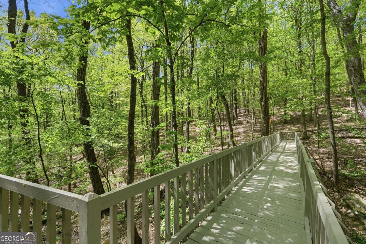 225 Windflower Drive Big Canoe GA 30143