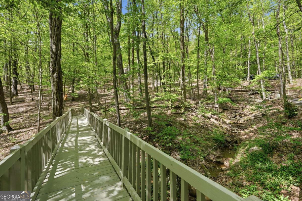 225 Windflower Drive Big Canoe GA 30143