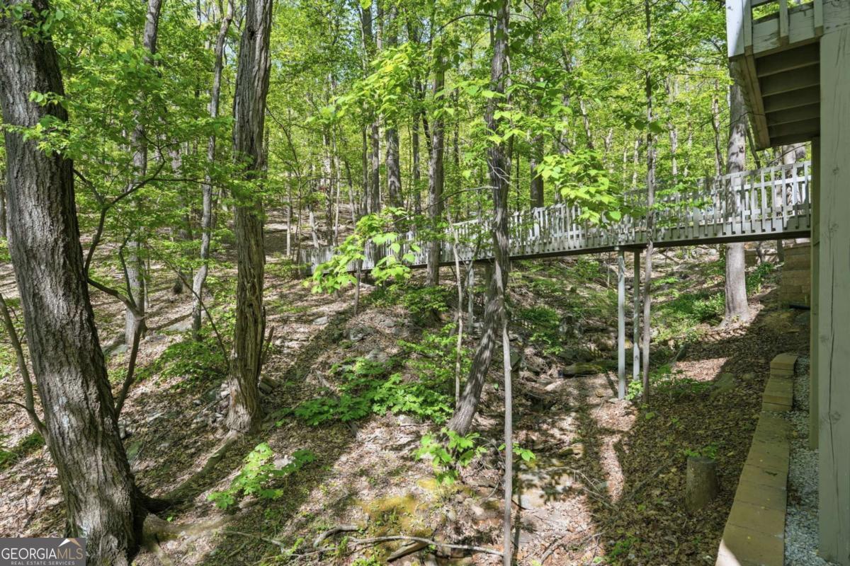 225 Windflower Drive Big Canoe GA 30143