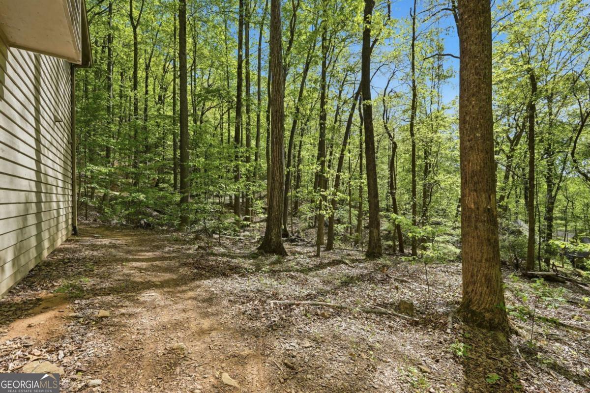 225 Windflower Drive Big Canoe GA 30143