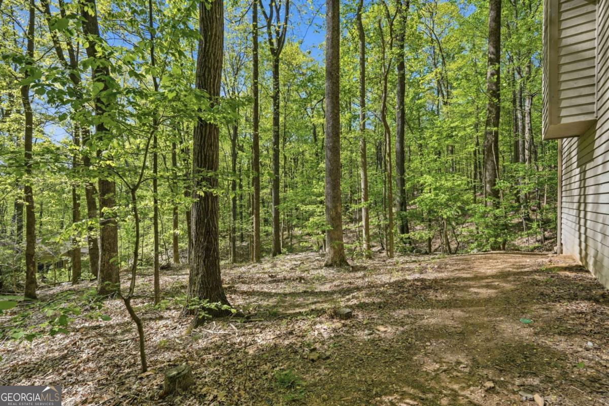 225 Windflower Drive Big Canoe GA 30143