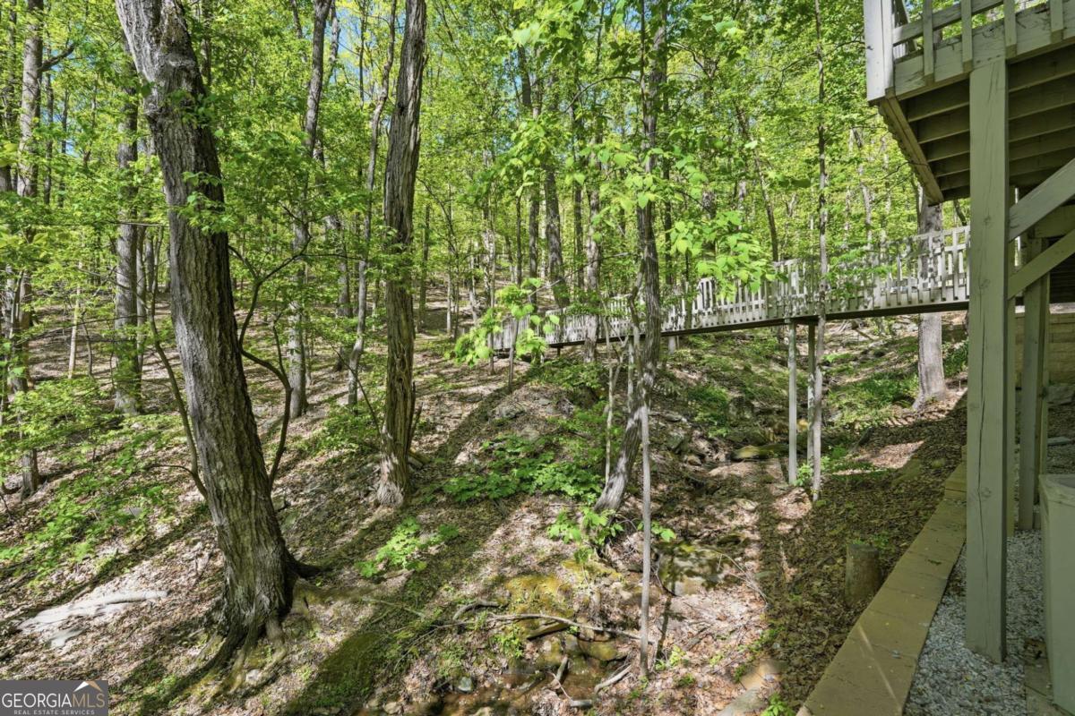 225 Windflower Drive Big Canoe GA 30143
