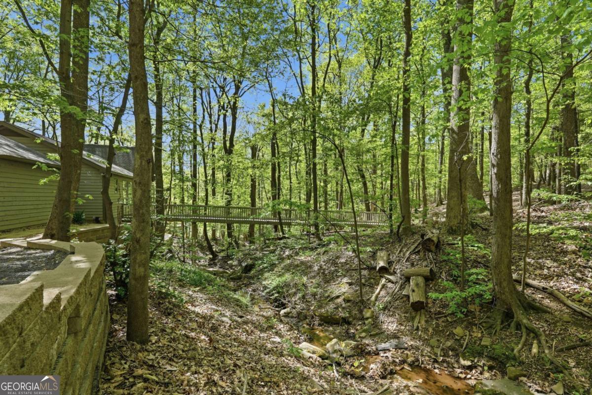225 Windflower Drive Big Canoe GA 30143
