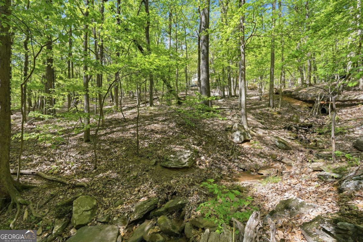 225 Windflower Drive Big Canoe GA 30143