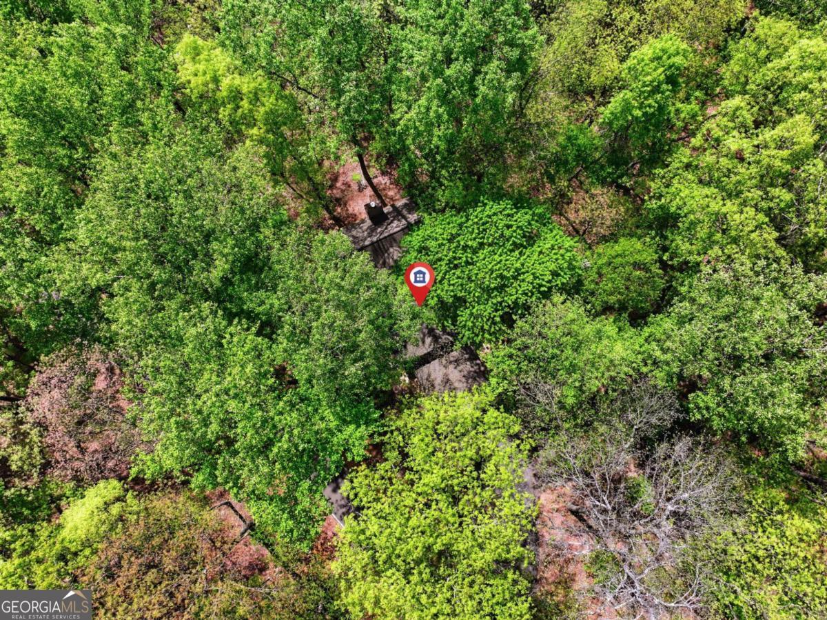 225 Windflower Drive Big Canoe GA 30143