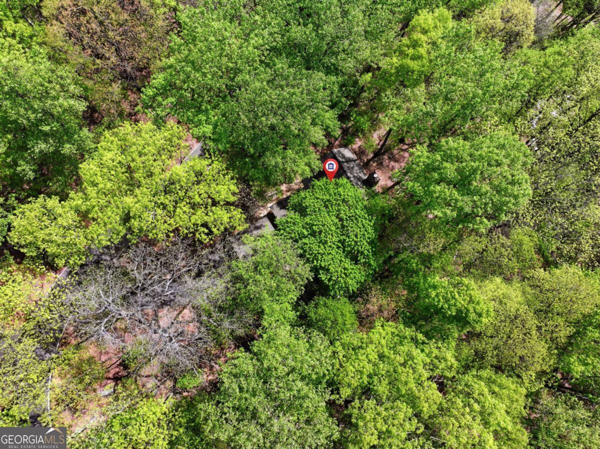 225 Windflower Drive Big Canoe GA 30143
