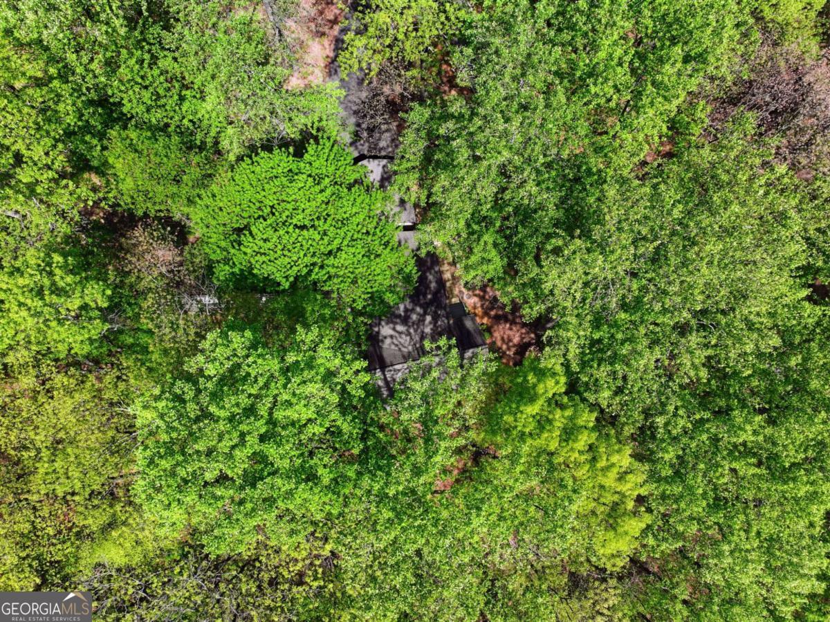 225 Windflower Drive Big Canoe GA 30143